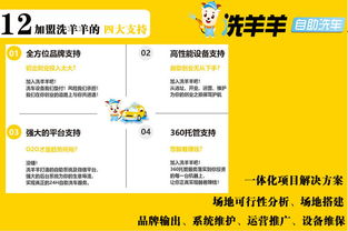 洗羊羊24小時自助洗車 智能時代下的投資新機遇與企業管理升級